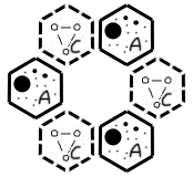 Файл:Feyerabend.png